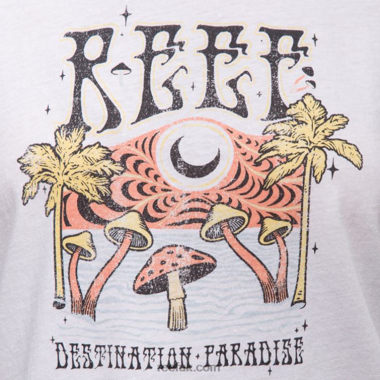 Bright White 2286N268 Poster Child Short Sleeve Crop Tee Reef Women - Image 3
